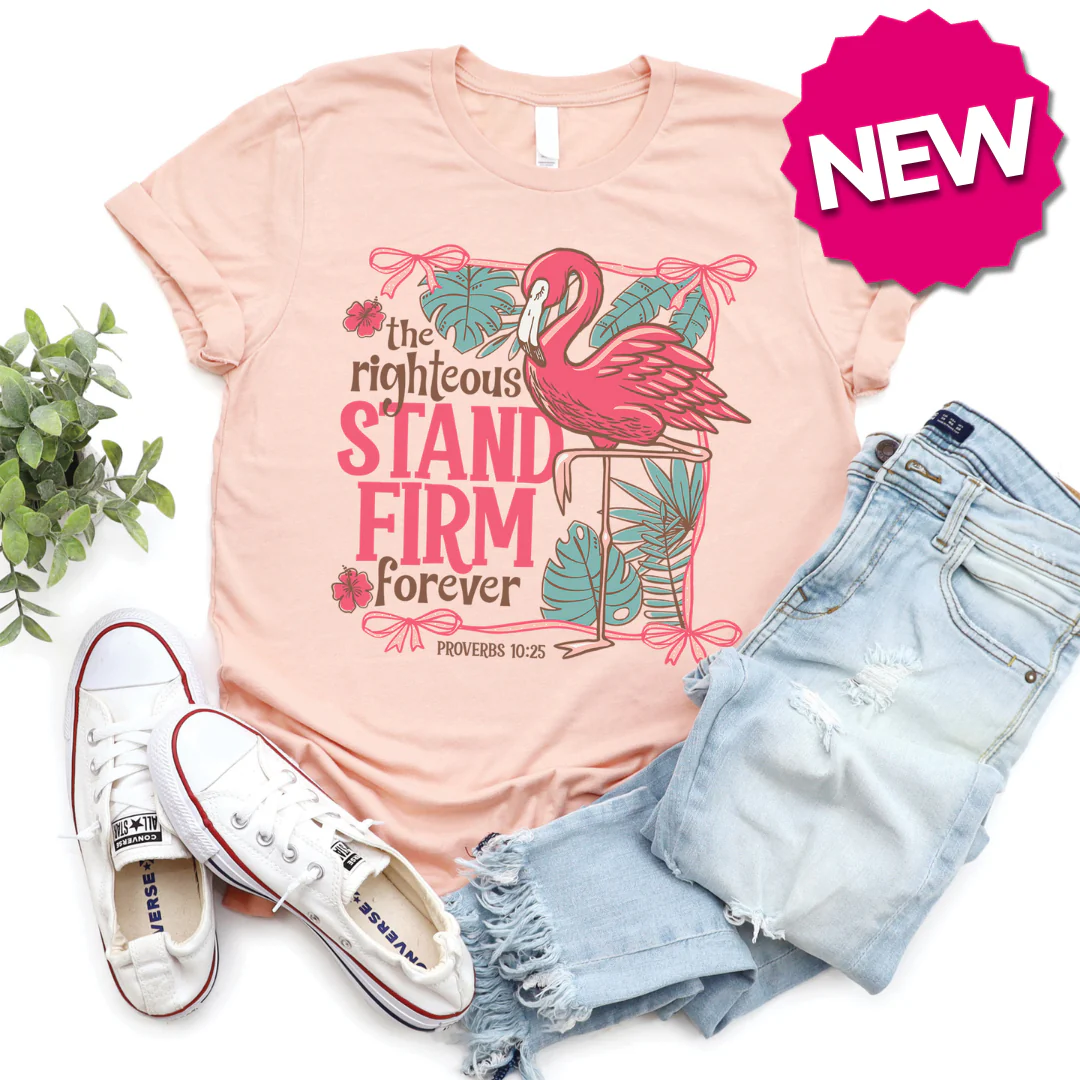 Stand Firm Flamingo Tee