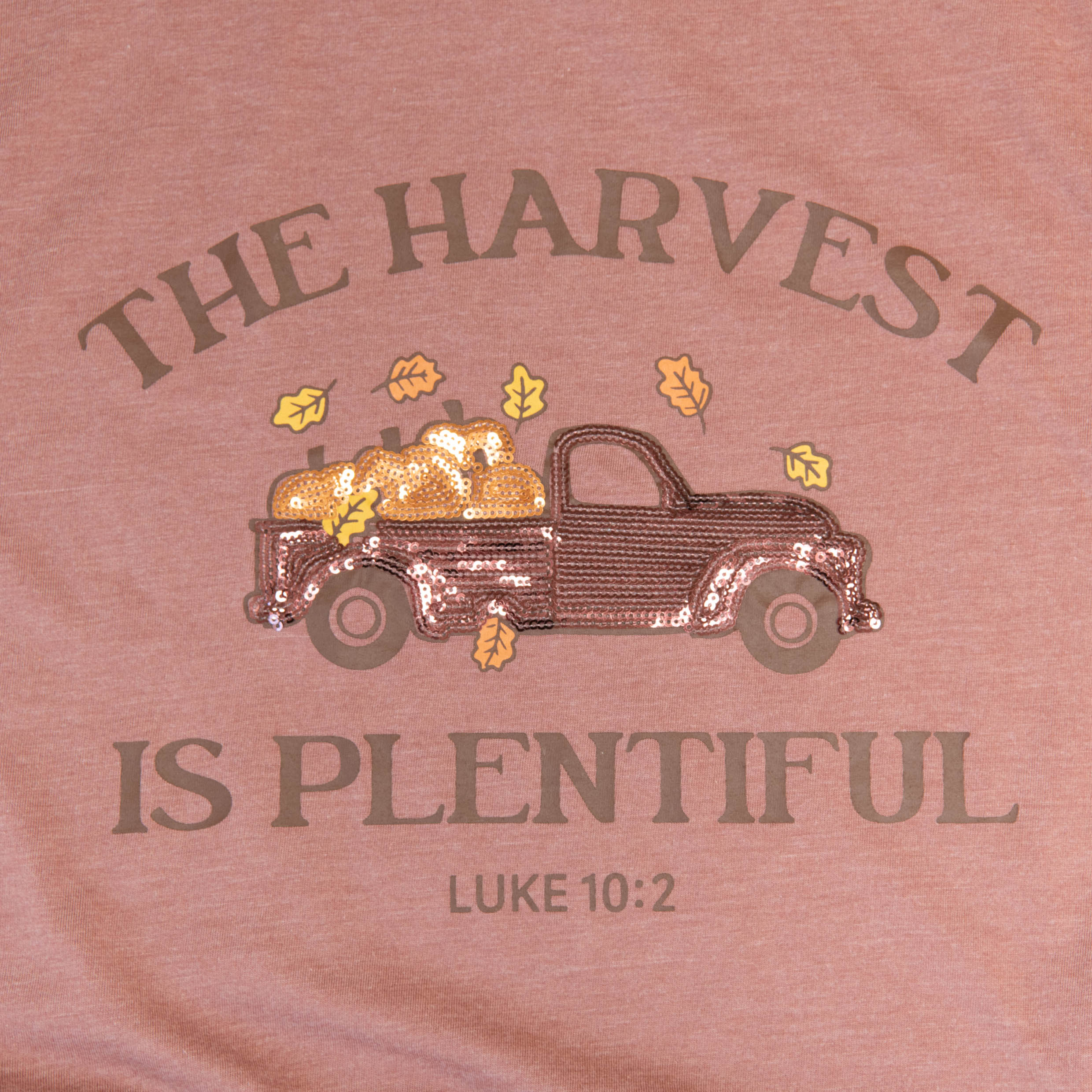 The Harvest is Plentiful Sequin Tee - 15 - Image 3
